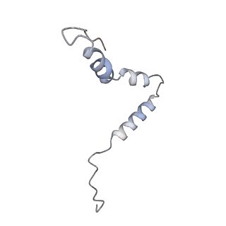 10908_6ysu_u_v1-1
Structure of the P+0 ArfB-ribosome complex in the post-hydrolysis state