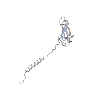 10908_6ysu_y_v1-1
Structure of the P+0 ArfB-ribosome complex in the post-hydrolysis state