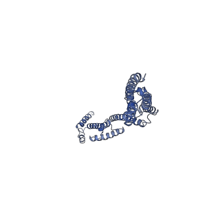 10911_6ysz_A_v1-0
Cryo-EM structure of T7 bacteriophage DNA translocation gp15 core protein intermediate assembly