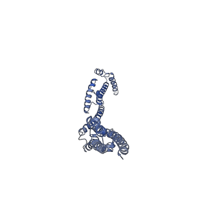10911_6ysz_C_v1-0
Cryo-EM structure of T7 bacteriophage DNA translocation gp15 core protein intermediate assembly