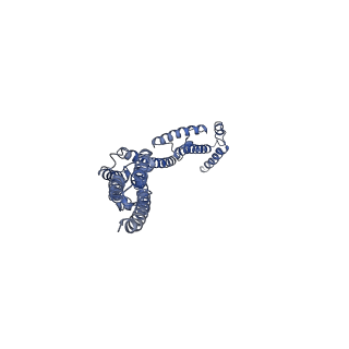 10911_6ysz_D_v1-0
Cryo-EM structure of T7 bacteriophage DNA translocation gp15 core protein intermediate assembly