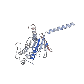 34073_7ys6_B_v1-1
Cryo-EM structure of the Serotonin 6 (5-HT6) receptor-DNGs-scFv16 complex
