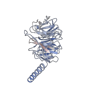 34073_7ys6_C_v1-1
Cryo-EM structure of the Serotonin 6 (5-HT6) receptor-DNGs-scFv16 complex