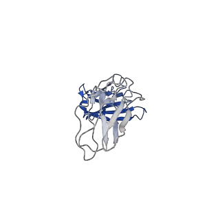 34074_7ysg_B_v1-2
Cryo-EM structure of human FcmR bound to sIgM
