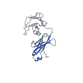 34074_7ysg_D_v1-2
Cryo-EM structure of human FcmR bound to sIgM