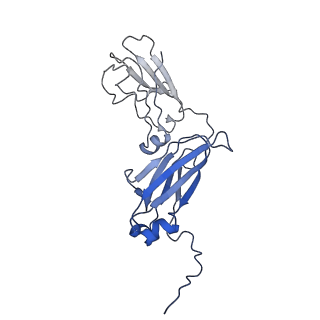 34074_7ysg_F_v1-2
Cryo-EM structure of human FcmR bound to sIgM