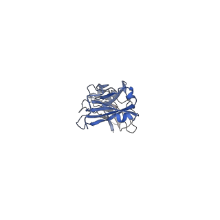 34074_7ysg_K_v1-2
Cryo-EM structure of human FcmR bound to sIgM