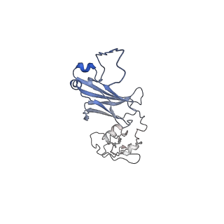 34074_7ysg_L_v1-2
Cryo-EM structure of human FcmR bound to sIgM