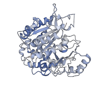 34077_7ysn_A_v1-0
Tubulin heterodimer structure of GMPCPP state in solution