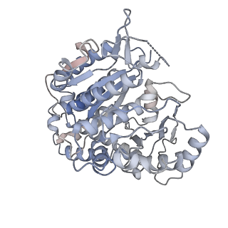 34079_7ysp_A_v1-0
Tubulin heterodimer structure of GDP-2 state in solution