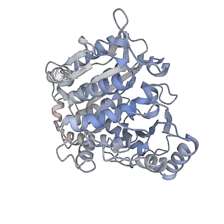 34079_7ysp_B_v1-0
Tubulin heterodimer structure of GDP-2 state in solution