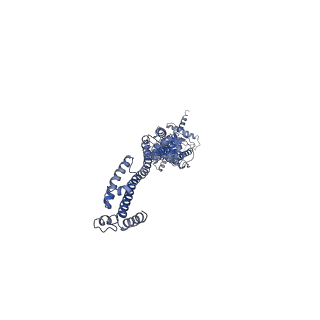 10912_6yt5_A_v1-0
Cryo-EM structure of T7 bacteriophage DNA translocation gp15-gp16 core complex intermediate assembly