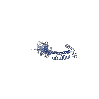 10912_6yt5_C_v1-0
Cryo-EM structure of T7 bacteriophage DNA translocation gp15-gp16 core complex intermediate assembly