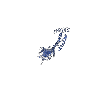 10912_6yt5_D_v1-0
Cryo-EM structure of T7 bacteriophage DNA translocation gp15-gp16 core complex intermediate assembly