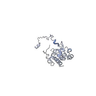 10912_6yt5_G_v1-0
Cryo-EM structure of T7 bacteriophage DNA translocation gp15-gp16 core complex intermediate assembly