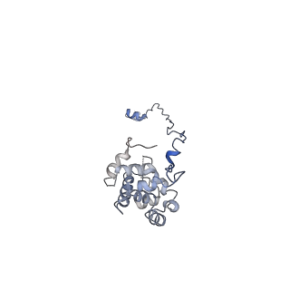 10912_6yt5_H_v1-0
Cryo-EM structure of T7 bacteriophage DNA translocation gp15-gp16 core complex intermediate assembly