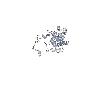 10912_6yt5_I_v1-0
Cryo-EM structure of T7 bacteriophage DNA translocation gp15-gp16 core complex intermediate assembly
