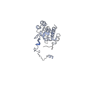 10912_6yt5_J_v1-0
Cryo-EM structure of T7 bacteriophage DNA translocation gp15-gp16 core complex intermediate assembly