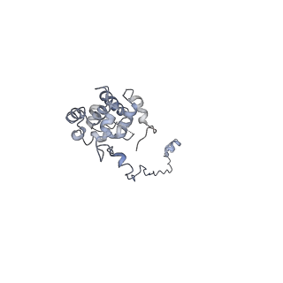 10912_6yt5_K_v1-0
Cryo-EM structure of T7 bacteriophage DNA translocation gp15-gp16 core complex intermediate assembly