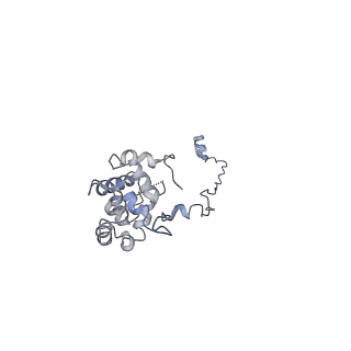 10912_6yt5_L_v1-0
Cryo-EM structure of T7 bacteriophage DNA translocation gp15-gp16 core complex intermediate assembly