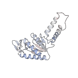 10914_6yt9_c_v1-1
Acinetobacter baumannii ribosome-tigecycline complex - 30S subunit body