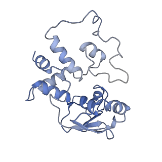 10914_6yt9_e_v1-1
Acinetobacter baumannii ribosome-tigecycline complex - 30S subunit body