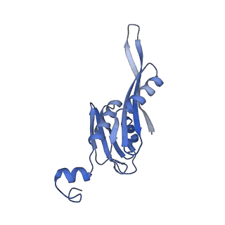 10914_6yt9_f_v1-1
Acinetobacter baumannii ribosome-tigecycline complex - 30S subunit body