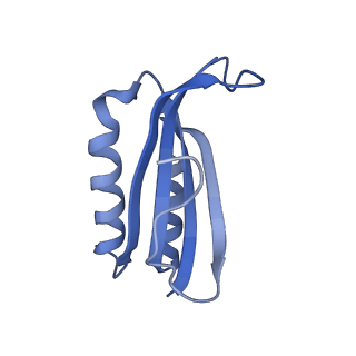 10914_6yt9_g_v1-1
Acinetobacter baumannii ribosome-tigecycline complex - 30S subunit body