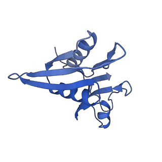 10914_6yt9_i_v1-1
Acinetobacter baumannii ribosome-tigecycline complex - 30S subunit body