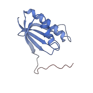 10914_6yt9_l_v1-1
Acinetobacter baumannii ribosome-tigecycline complex - 30S subunit body
