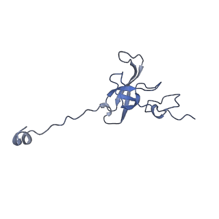 10914_6yt9_m_v1-1
Acinetobacter baumannii ribosome-tigecycline complex - 30S subunit body