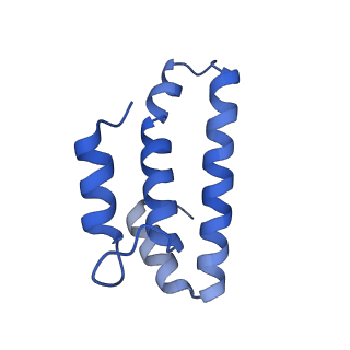 10914_6yt9_p_v1-1
Acinetobacter baumannii ribosome-tigecycline complex - 30S subunit body