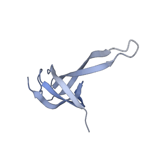 10914_6yt9_r_v1-1
Acinetobacter baumannii ribosome-tigecycline complex - 30S subunit body