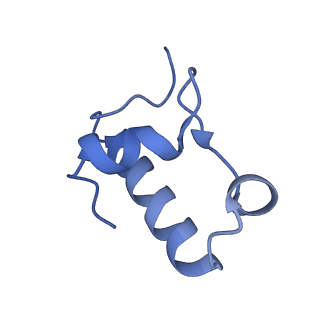 10914_6yt9_s_v1-1
Acinetobacter baumannii ribosome-tigecycline complex - 30S subunit body