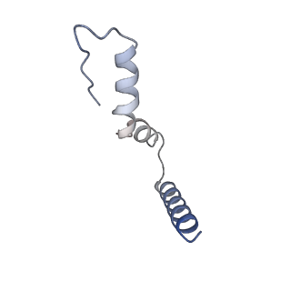 10914_6yt9_v_v1-1
Acinetobacter baumannii ribosome-tigecycline complex - 30S subunit body