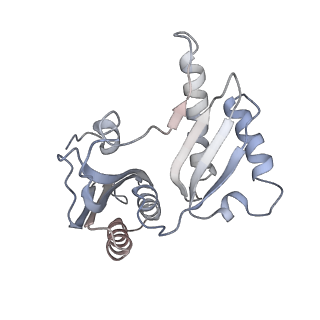 10915_6ytf_d_v1-1
Acinetobacter baumannii ribosome-tigecycline complex - 30S subunit head
