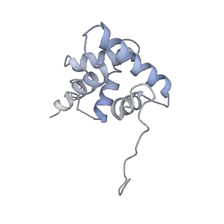 10915_6ytf_h_v1-1
Acinetobacter baumannii ribosome-tigecycline complex - 30S subunit head
