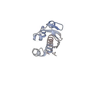 10915_6ytf_j_v1-1
Acinetobacter baumannii ribosome-tigecycline complex - 30S subunit head