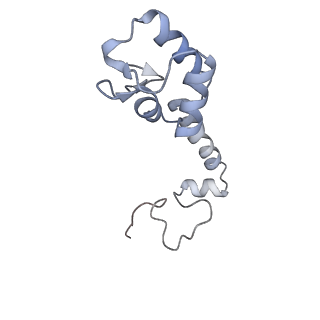 10915_6ytf_n_v1-1
Acinetobacter baumannii ribosome-tigecycline complex - 30S subunit head