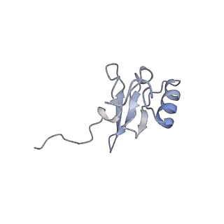 10915_6ytf_t_v1-1
Acinetobacter baumannii ribosome-tigecycline complex - 30S subunit head