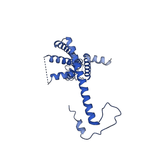 10917_6ytk_A_v1-1
Cryo-EM structure of a dimer of decameric human CALHM4 in the absence of Ca2+