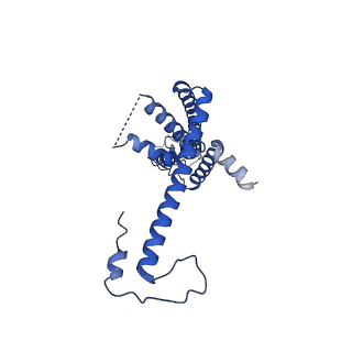 10917_6ytk_B_v1-1
Cryo-EM structure of a dimer of decameric human CALHM4 in the absence of Ca2+
