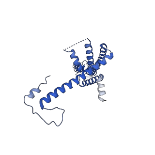 10917_6ytk_C_v1-1
Cryo-EM structure of a dimer of decameric human CALHM4 in the absence of Ca2+