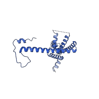 10917_6ytk_D_v1-1
Cryo-EM structure of a dimer of decameric human CALHM4 in the absence of Ca2+
