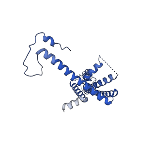 10917_6ytk_E_v1-1
Cryo-EM structure of a dimer of decameric human CALHM4 in the absence of Ca2+