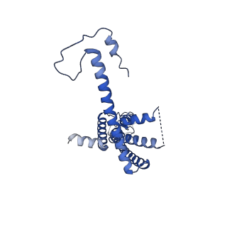 10917_6ytk_F_v1-1
Cryo-EM structure of a dimer of decameric human CALHM4 in the absence of Ca2+