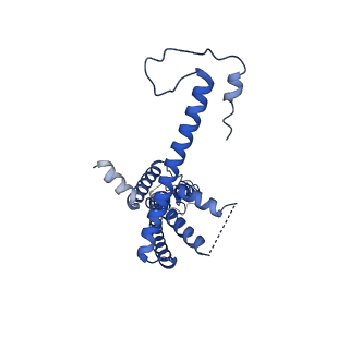 10917_6ytk_G_v1-1
Cryo-EM structure of a dimer of decameric human CALHM4 in the absence of Ca2+