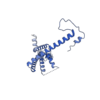 10917_6ytk_H_v1-1
Cryo-EM structure of a dimer of decameric human CALHM4 in the absence of Ca2+