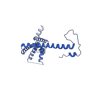 10917_6ytk_I_v1-1
Cryo-EM structure of a dimer of decameric human CALHM4 in the absence of Ca2+