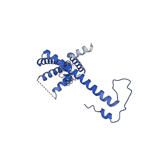 10917_6ytk_J_v1-1
Cryo-EM structure of a dimer of decameric human CALHM4 in the absence of Ca2+